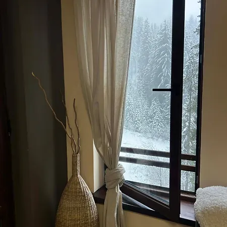 Apartment Point A18 Pamporovo
